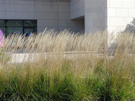 "Most People Are Other People" | -Oscar Wilde