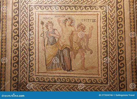 The Zeugma Mosaic Museum in Gaziantep, Turkey, Home To Some of the ...
