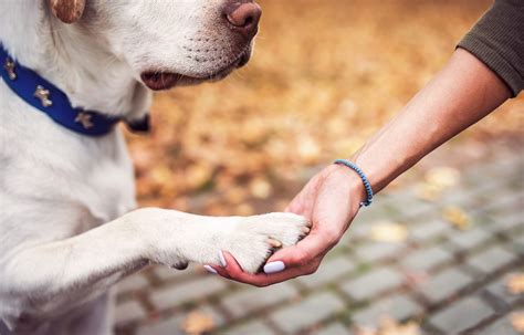 The Historic George Funeral Home and Cremation Center Services 29