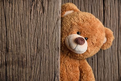 50 of the Most Popular Teddy Bear Names for Your Stuffed Animals