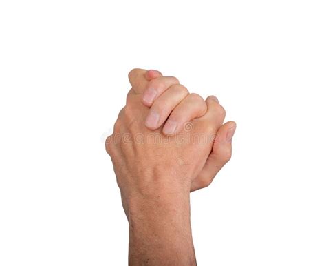 interlocked hands isolated stock   royalty  stock