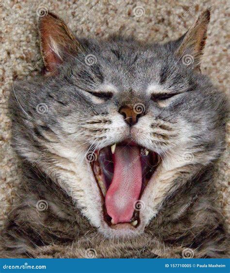 Critics are raving about the claudia sanders kentucky fried chicken 1