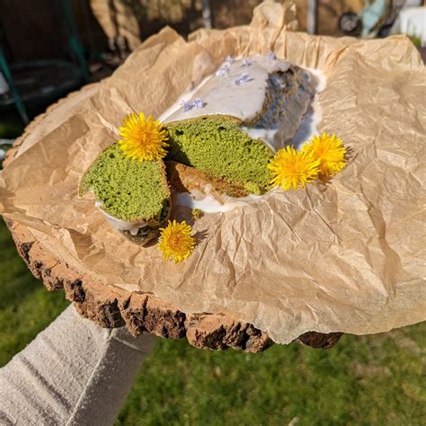 News & Tips - Surviving Wild Bushcraft