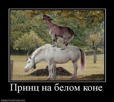 Подборка демотиваторов