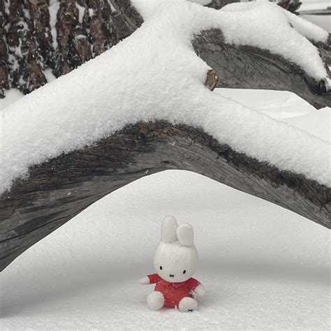 Miffy snow day ️ | Miffy, Christmas wallpaper, Christmas gif