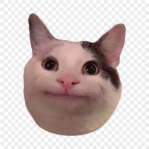 Funny Beluga Meme Cat HD Transparent Background | Citypng