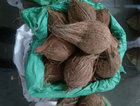 Semi Husk Coconut at Rs 24/number | New Items in Raigad | ID: 19112533655