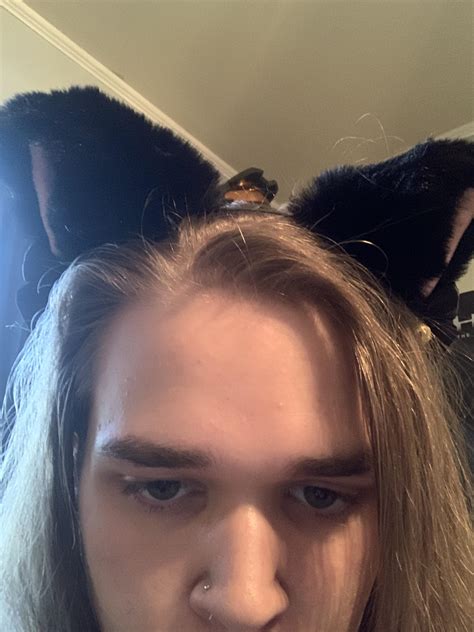 The government doesn’t want you to see this cat boys are real 😼 : r/femboy