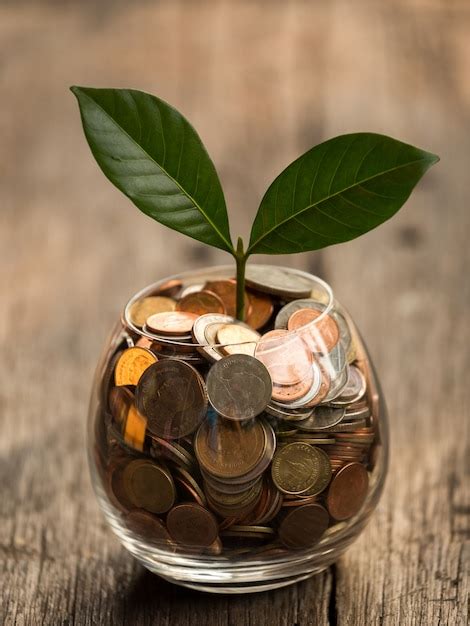 premium photo business growth  concept