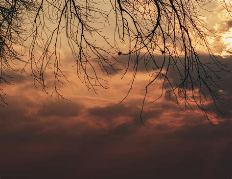 walb albany weather 5