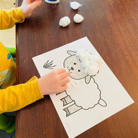 From Field to Face: The Journey of a Cotton Ball - Hunter Games Magazine