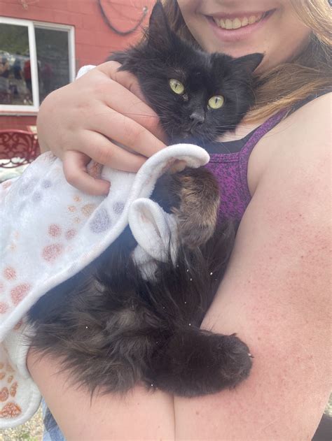 Pantera — Catmosphere Laguna Foundation