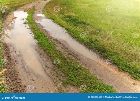 Big Puddles on Rut Road after Rain in Summer. Muddy Field Road with a ...