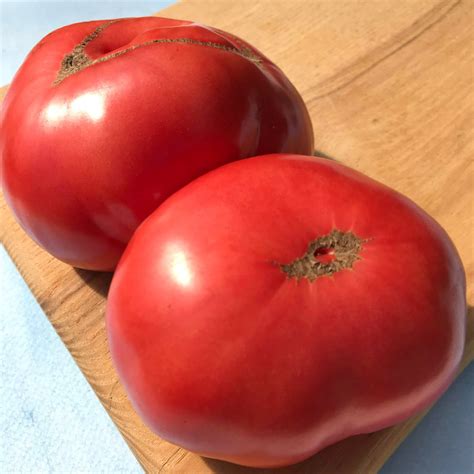 Mikado Tomato Organic Seeds – Hudson Valley Seed Company
