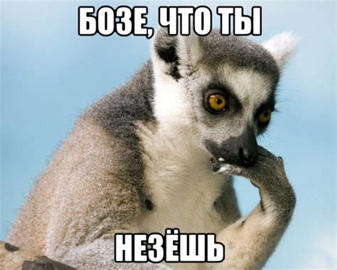 Скачать прикольные и красивые картинки: Откуда пошло "Узбагойся" на fun ...