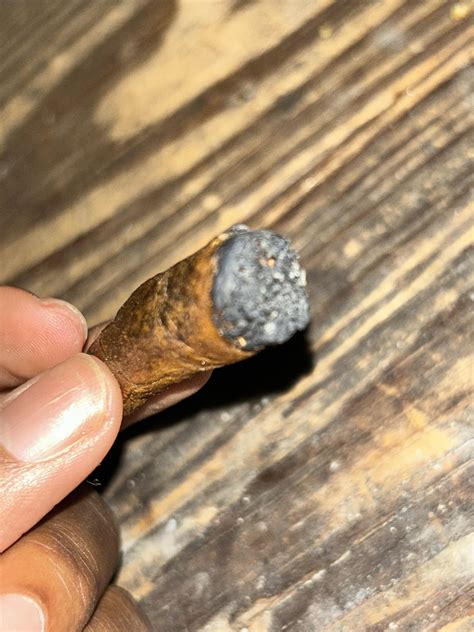 blunt wont  lit rtrees