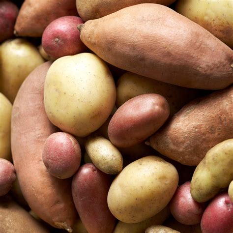 potato iqa