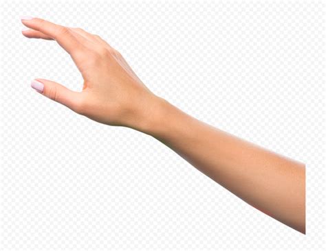 hand  png png clipart images citypng