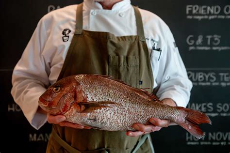 Tiny’s No. 5 – Tiny Boxwoods