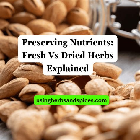 Preserving Nutrients: Fresh Vs Dried Herbs Explained - Using Herbs & Spices