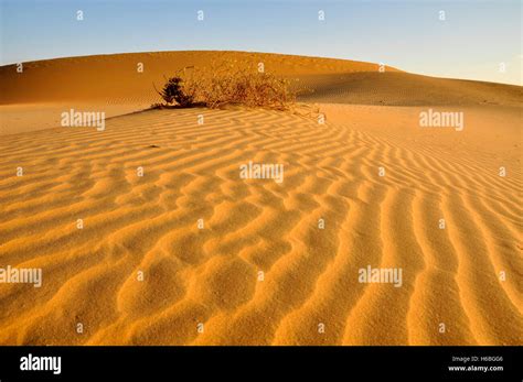 Liwa sand ripples Stock Photo - Alamy