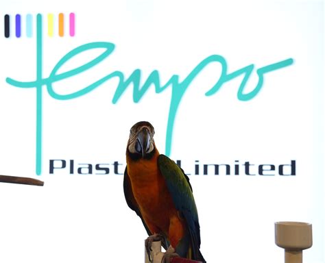 The Mika Mae Leak: Everything You Missed - Truth or Fiction