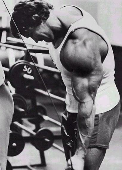 Арнольд Шварценеггер (Arnold Schwarzenegger), фотографии, биография ...