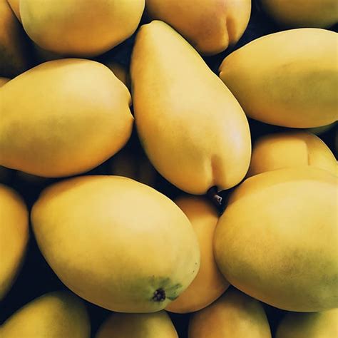 carabao mangoes  australia philippine mango