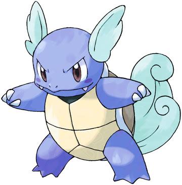wartortle pokedex stats moves evolution locations pokemon