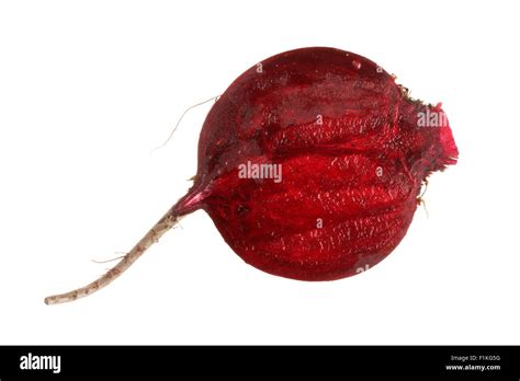 beet root beetroot stock photo alamy