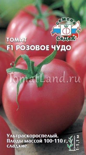 Томат Розовое чудо F1: ОТЗЫВЫ, фото, урожайность | tomatland.ru