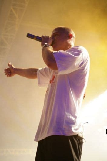 nyze fotos  fotos letrascom