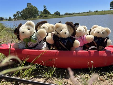 Bears of the Bush: Lending a Paw to Flooded Communities - Tambo Teddies