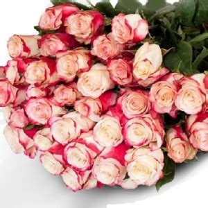Создать мем "beautiful roses, роза freedom, rose" - Картинки - Meme ...