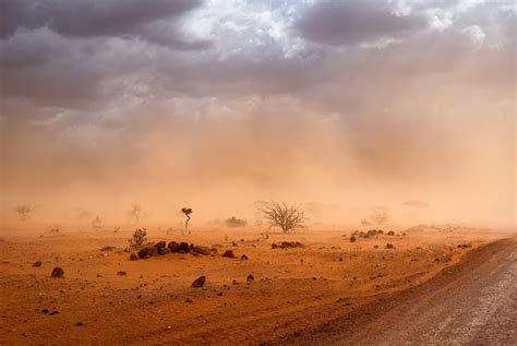 The Impact of Climate Change on Africa’s Economies - Foreign Policy