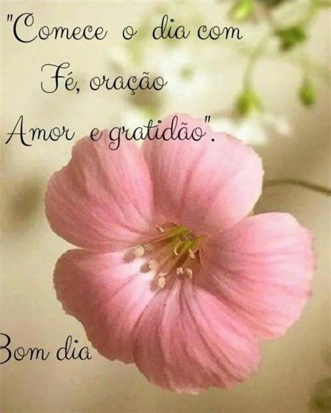 Topo 75+ imagem mensagem de bom dia rosa e cor - br.thptnganamst.edu.vn