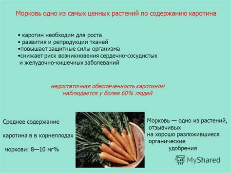 Презентация на тему: "Научно – исследовательская работа учащегося 10 ...