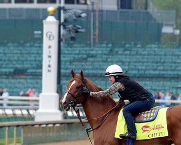 Chitu - Horse Profile - BloodHorse