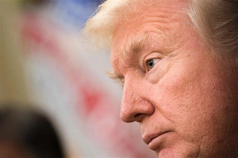 Trump's IQ: Fact Or Fiction? A Deep Dive With Leading Psychologists Image 2