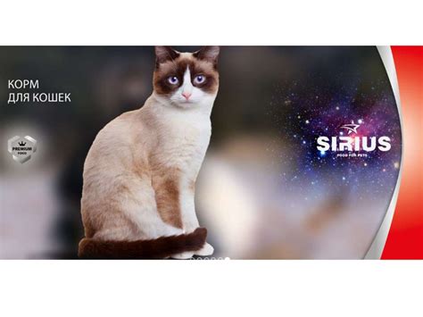 SIRIUS – полноценное Premium питание для роста и развития - презентация ...