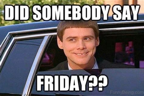 happy friday memes work friday animal meme friday meme gif friday movie ...