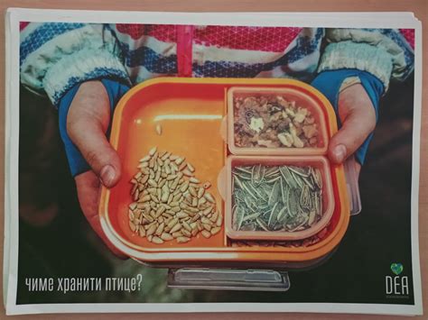 Рециклажа | ПУ ”Радосно детињство” Нови Сад