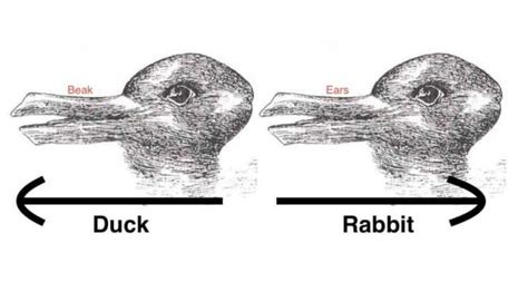 Duck Or Rabbit Drawing at PaintingValley.com | Explore collection of ...