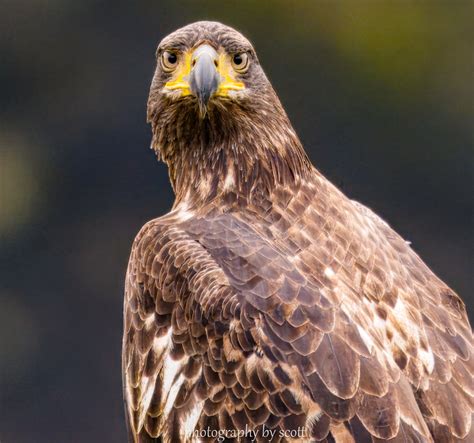butler eagle death notices obituaries 5