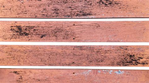 how to clean mould off wood