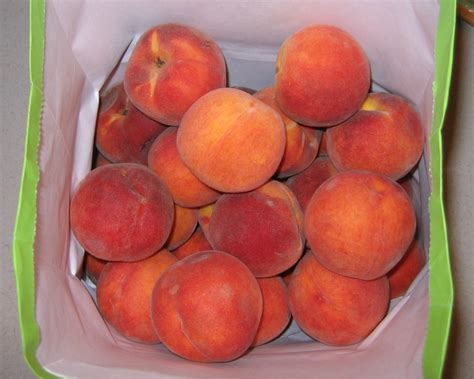 Too Many Tomatoes : Peaches