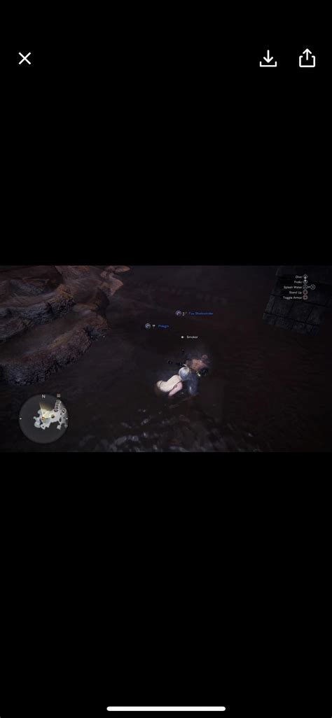 We are totally responsible hunters : r/MonsterHunterWorld