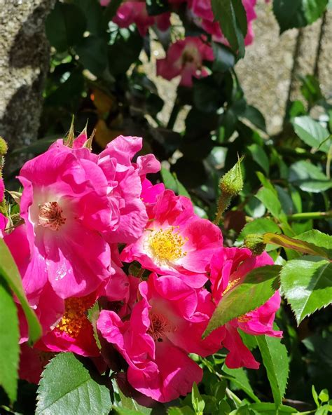 beeboo.girl - beeboo.girl added a new photo.