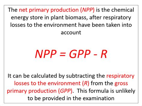 GPP, NPP & N (AQA A-level Biology) | Teaching Resources