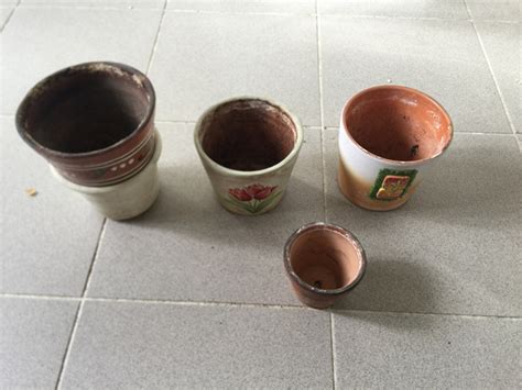 Глиняные горшки для цветов в дар (Санкт-Петербург). Дарудар